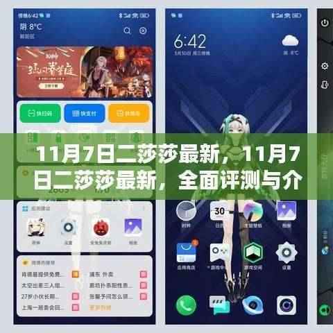11月7日二莎莎全面评测与介绍，最新资讯一网打尽