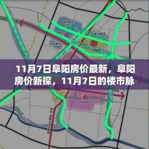 阜阳房价最新动态,11月7日楼市脉络与影响分析
