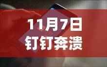11月7日钉钉崩溃事件深度解析,特性、用户体验及用户洞察