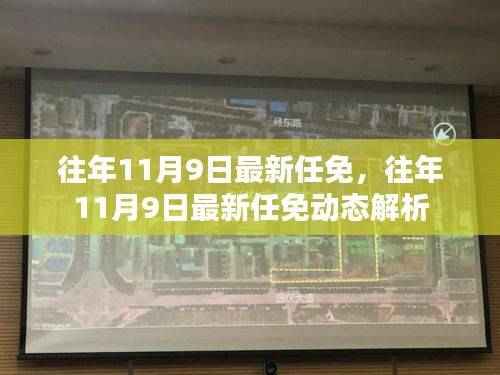 往年11月9日最新任免动态解析及任免消息概览