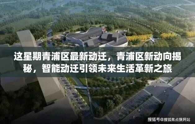 商品分类 第604页