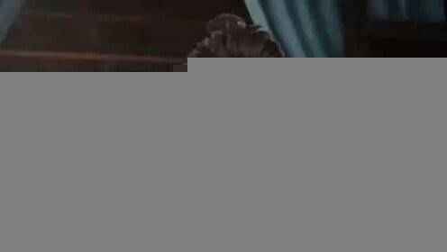 叶辰新篇章,友情的温馨日常本月更新