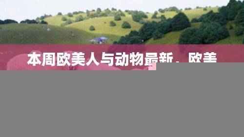 商品分类 第596页