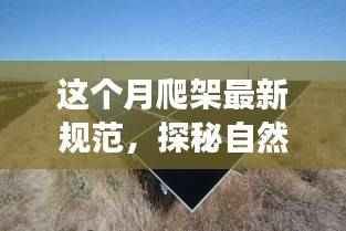 本月爬架新规范,探秘自然之美,引领心灵之旅