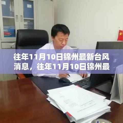 往年11月10日锦州台风最新消息,深度解析与前沿动态报告