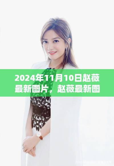 商品分类 第592页