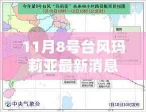 台风玛莉亚下的温馨日常,与友情共舞的日子(最新消息)