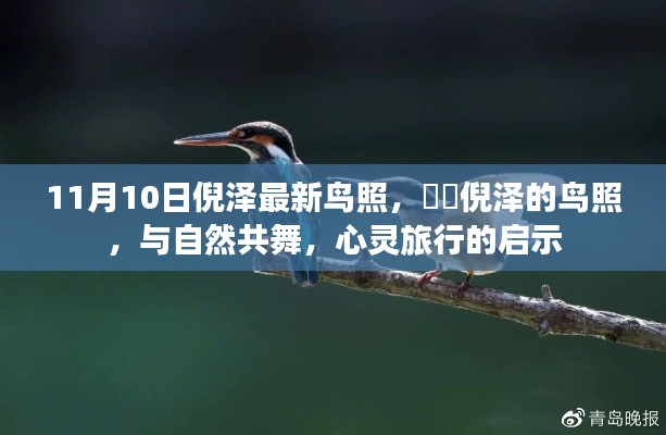 商品分类 第587页