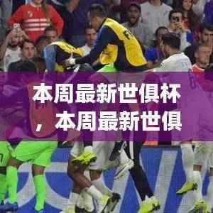 世俱杯赛事亮点与热门球队深度解析,本周赛事概览