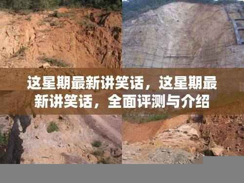 本周热门笑话大放送，全面评测与详细介绍