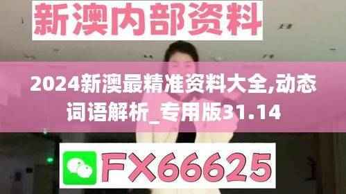 2024新澳最精准资料大全,动态词语解析_专用版31.14
