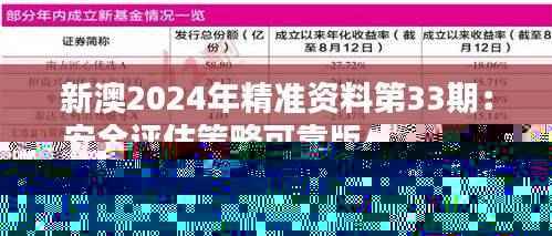 新澳2024年精准资料第33期：安全评估策略可靠版AZT675.08