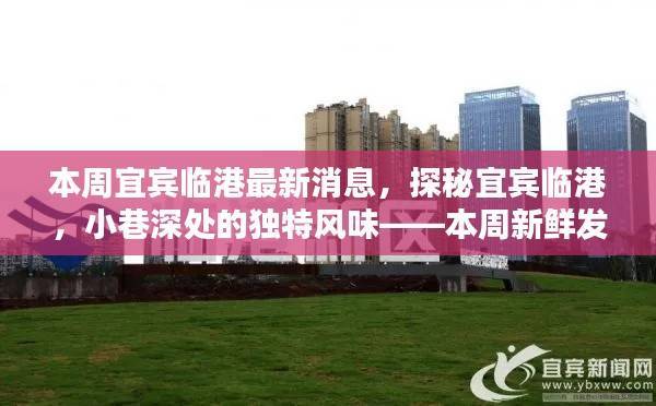 宜宾临港最新探秘,小巷独特风味与本周新鲜发现