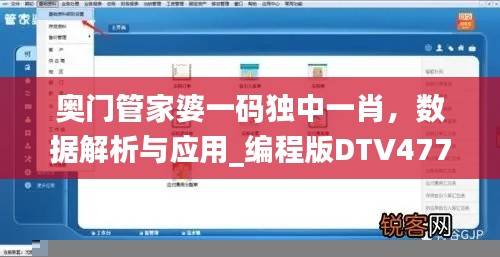 奥门管家婆一码独中一肖，数据解析与应用_编程版DTV477.29