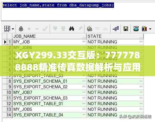 XGY299.33交互版:7777788888精准传真数据解析与应用