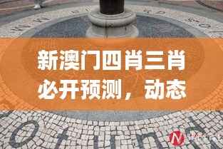 新澳门四肖三肖必开预测，动态词汇深度解读_预览版ZSD677.33