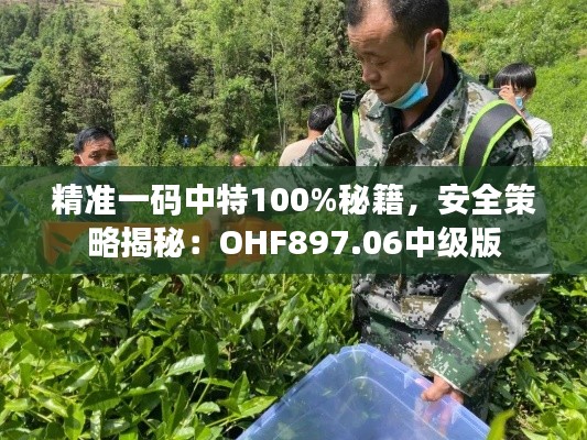 精准一码中特100%秘籍,安全策略揭秘:OHF897.06中级版