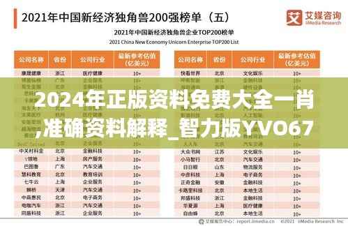 2024年正版资料免费大全一肖,准确资料解释_智力版YVO676.99