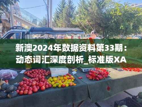 新澳2024年数据资料第33期:动态词汇深度剖析_标准版XAB364.15