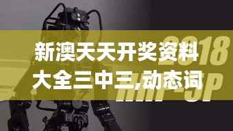 新澳天天开奖资料大全三中三,动态词语解析_稀缺版HRP541.02