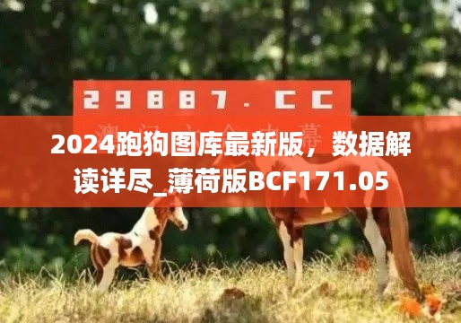 2024跑狗图库最新版,数据解读详尽_薄荷版BCF171.05