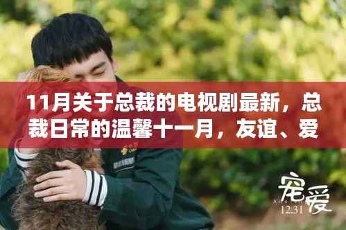 总裁日常的温馨十一月,友谊、爱与陪伴的新篇章