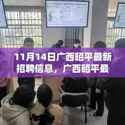 广西昭平最新招聘信息汇总,聚焦就业新动向与时代地位(11月14日)