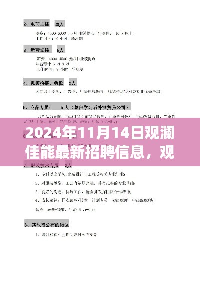 观澜佳能最新招聘信息深度解析,特性、体验、竞品对比与目标用户分析报告发布在即
