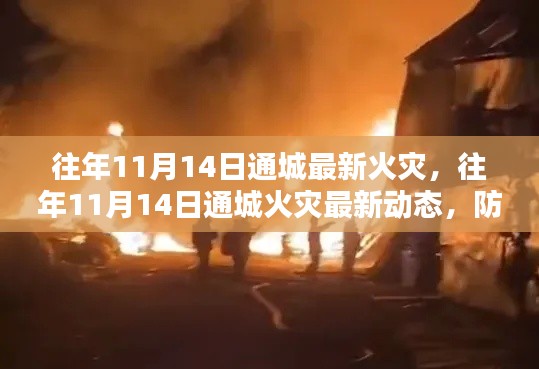 往年11月14日通城火灾最新动态及防范胜于未然的标题建议。