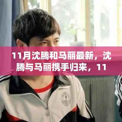 沈腾与马丽11月最新作品,深度解析与体验评测重磅来袭!