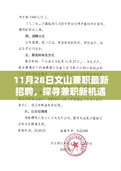 文山兼职招聘盛况揭秘,探寻最新兼职机遇于十一月二十八日