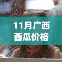 广西西瓜11月最新行情,甜蜜时光里的情缘记忆