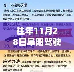 历年11月28日阜阳驾驶员招聘盛况回顾与行业脉动