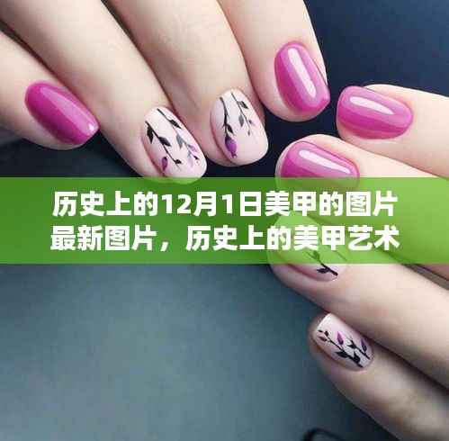 探寻十二月一日独特美甲风尚,历史美甲图片最新呈现