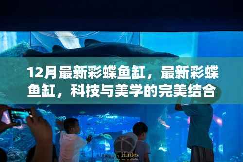 科技与美学完美融合,最新彩蝶鱼缸亮相十二月市场