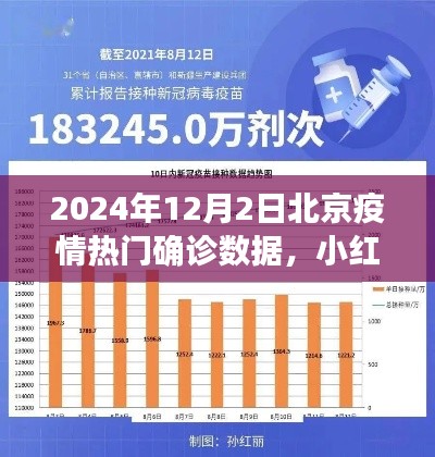 北京疫情热点解读，深度分析2024年12月2日确诊数据，小红书分享聚焦疫情动态