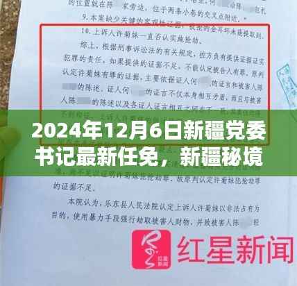 新疆秘境,小巷特色小店与党委书记最新任免揭晓于2024年12月6日