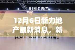 新力地产最新动态,深度解读三大要点更新