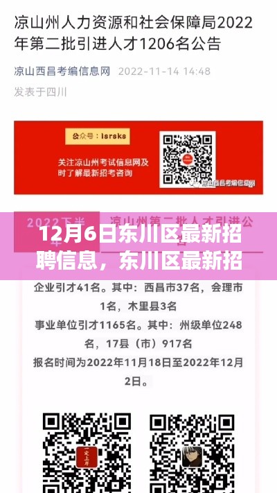 12月6日东川区最新招聘信息概览——职场人的福音,新动态发布
