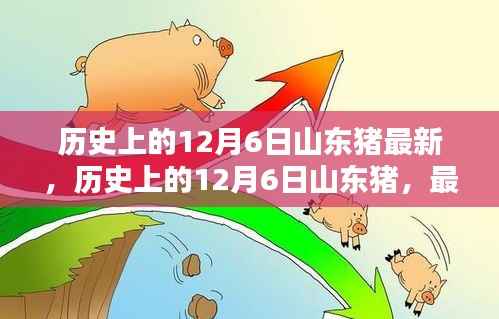 历史上的12月6日山东猪最新资讯与深度分析，最新动态与指南