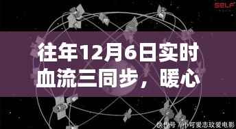 往年12月6日实时血流同步,暖心时光与奇妙日的交汇