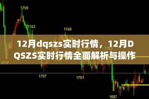 12月DQSZS实时行情全面解析与操作指南,掌握最新动态,洞悉市场趋势