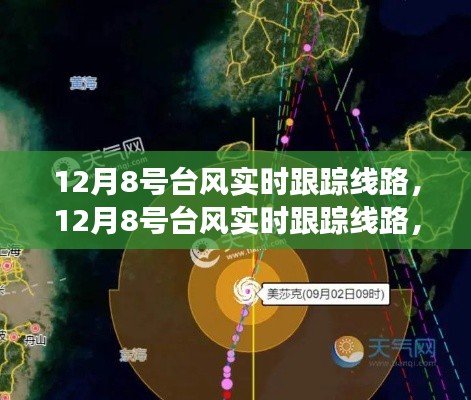 12月8号台风实时跟踪线路,多方观点碰撞与个人立场阐述