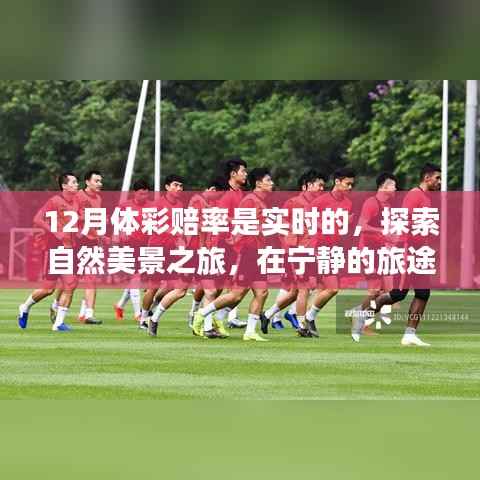 十二月体彩赔率实时探索,自然美景之旅中的真实自我探索之旅
