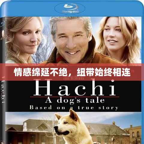 情感绵延不绝,纽带始终相连