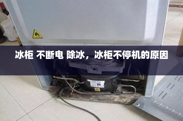 冰柜 不断电 除冰,冰柜不停机的原因