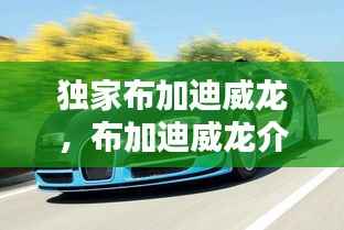 独家布加迪威龙，布加迪威龙介绍 