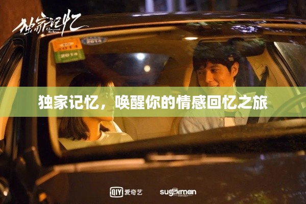 独家记忆,唤醒你的情感回忆之旅