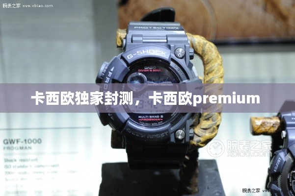 卡西欧独家封测,卡西欧premium