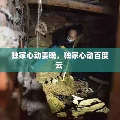 独家心动姜晚,独家心动百度云